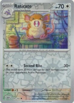 Raticate Reverse - 020/165