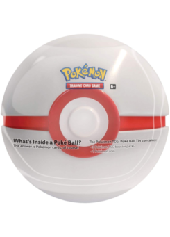 Pokemon TCG Pokeball Tin 2024 - D24 [ENG]